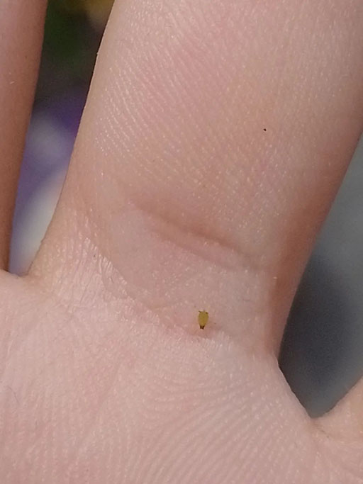 2022111816687372581007382273.jpg 微信圖片_20221118100131.jpg